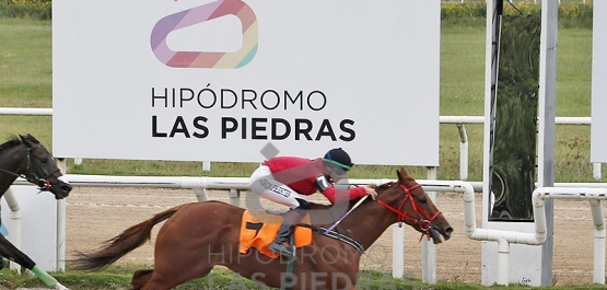 Viernes 14 de febrero de 2025 - Hipódromo Las Piedras