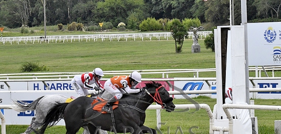 Sábado 15 de febrero de 2025 - Hipódromo Nacional de Maroñas