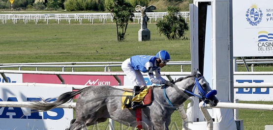 Domingo 16 de febrero de 2025 - Hipódromo Nacional de Maroñas