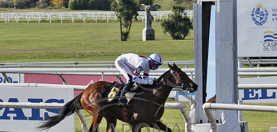 Viernes 18 de abril de 2025 - Hipódromo Nacional de Maroñas