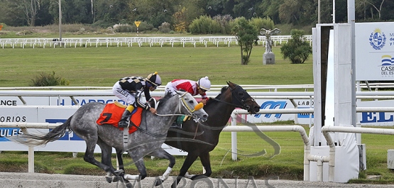 Domingo 20 de abril de 2025 - Hipódromo Nacional de Maroñas