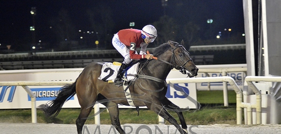 Viernes 25 de abril de 2025 - Hipódromo Nacional de Maroñas