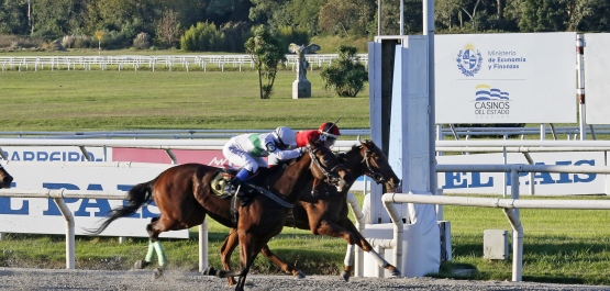 HANDICAP ESPECIAL RENDIJA