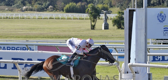 Sábado 3 de mayo de 2025 - Hipódromo Nacional de Maroñas