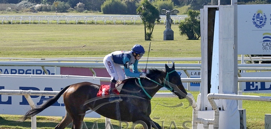 Domingo 4 de mayo de 2025 - Hipódromo Nacional de Maroñas