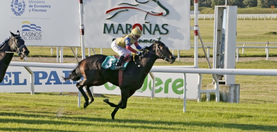 HANDICAP ESPECIAL ITALIA