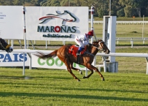HANDICAP ESPECIAL ENRIQUE GUILLEMETTE