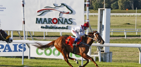 HANDICAP ESPECIAL ENRIQUE GUILLEMETTE