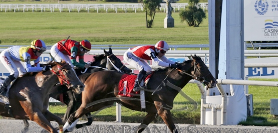 Viernes 9 de mayo de 2025 - Hipódromo Nacional de Maroñas