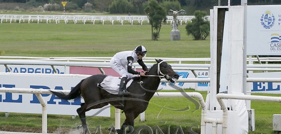 Viernes 16 de mayo de 2025 - Hipódromo Nacional de Maroñas