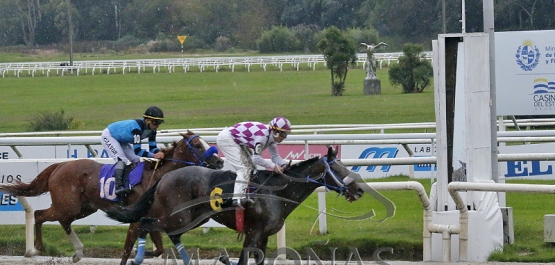 Sábado 17 de mayo de 2025 - Hipódromo Nacional de Maroñas