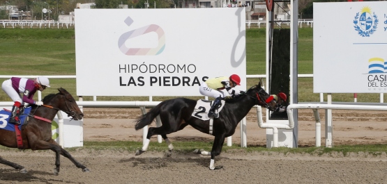 GRAN PREMIO OSAF