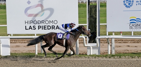 GRAN PREMIO UBALDO SERÉ