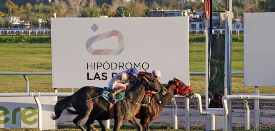 GRAN PREMIO BATALLA DE LAS PIEDRAS