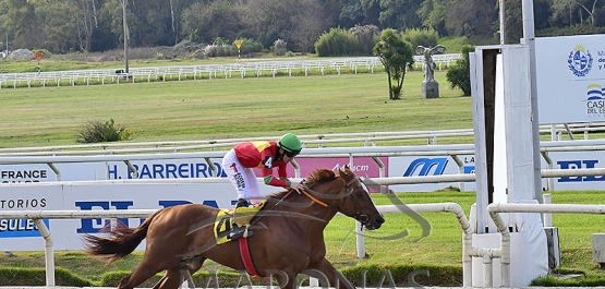 Sábado 7 de junio de 2025 - Hipódromo Nacional de Maroñas