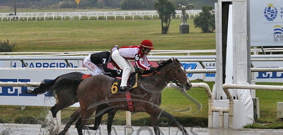 Sábado 14 de junio de 2025 - Hipódromo Nacional de Maroñas