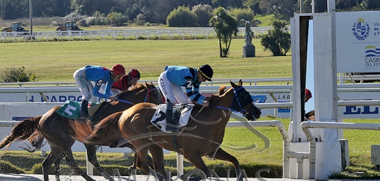 Domingo 15 de junio de 2025 - Hipódromo Nacional de Maroñas