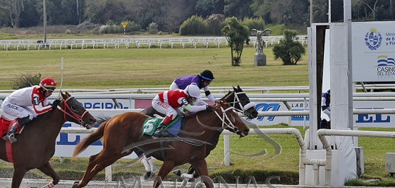 Sábado 21 de junio de 2025 - Hipódromo Nacional de Maroñas
