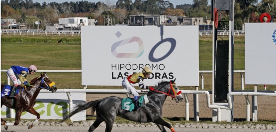 PREFERENCIAL "DR. ARMANDO RUBBO"