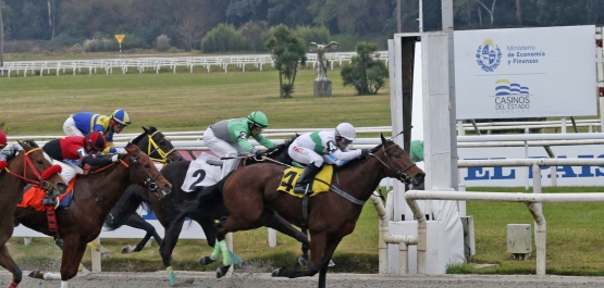 CLÁSICO ASOCIACION DE CRIADORES DE S. P. C.