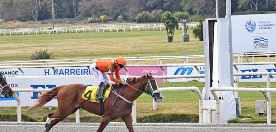 HANDICAP ESPECIAL COLOMBIA
