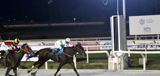 HANDICAP ESPECIAL YERBA AMARGA