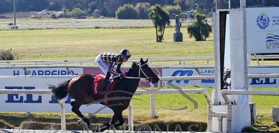 Sábado 19 de julio de 2025 - Hipódromo Nacional de Maroñas