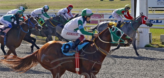 Domingo 20 de julio de 2025 - Hipódromo Nacional de Maroñas