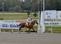 CLÁSICO ZELMAR MICHELINI