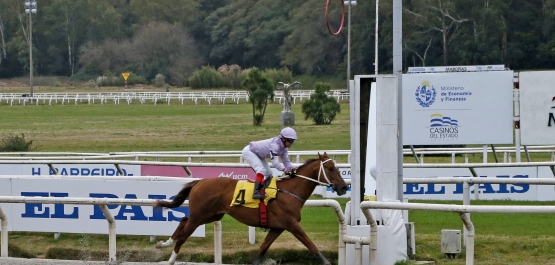 CLÁSICO ZELMAR MICHELINI