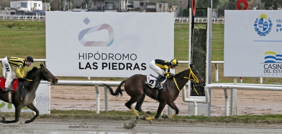 PREFERENCIAL PALIQUE