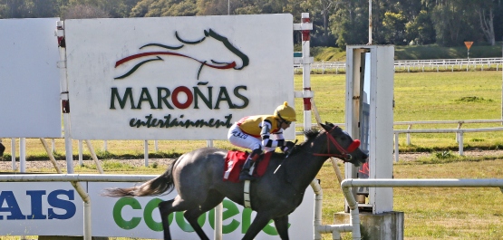 CLÁSICO ANTONIO H. MARSIGLIA