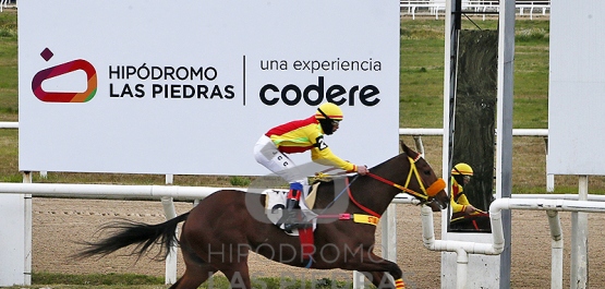 Viernes 8 de agosto de 2025 - Hipódromo Las Piedras
