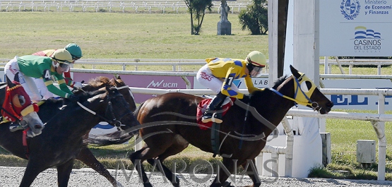 Domingo 10 de agosto de 2025 - Hipódromo Nacional de Maroñas
