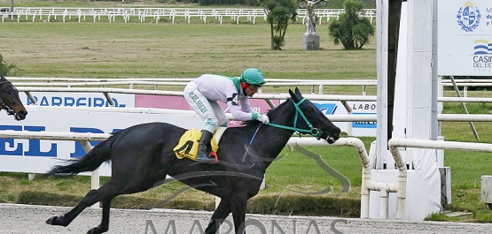 Viernes 22 de agosto de 2024 - Hipódromo Nacional de Maroñas