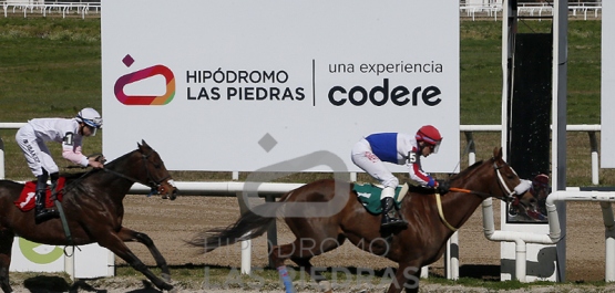 Sábado 23 de agosto de 2025 - Hipódromo Nacional de Maroñas