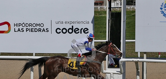Viernes 5 de septiembre de 2025 - Hipódromo Las Piedras
