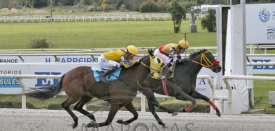 Domingo 7 de septiembre de 2025 - Hipódromo Nacional de Maroñas