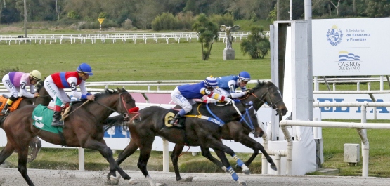 HANDICAP ESPECIAL MEXICO