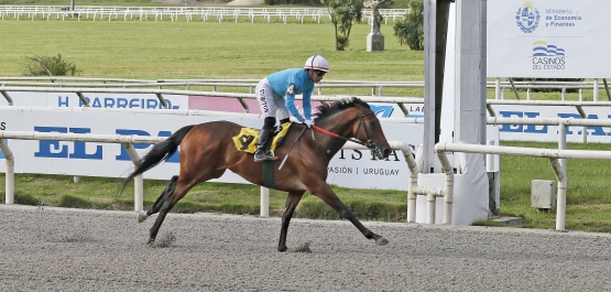 CLÁSICO STUD BOOK URUGUAYO