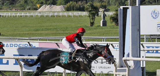 Sábado 4 de octubre de 2025 - Hipódromo Nacional de Maroñas