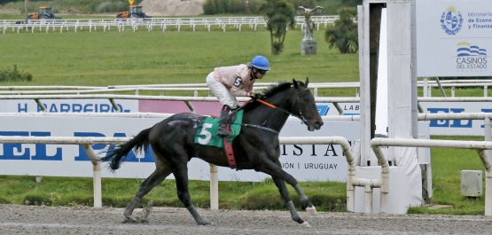GRAN PREMIO DE HONOR