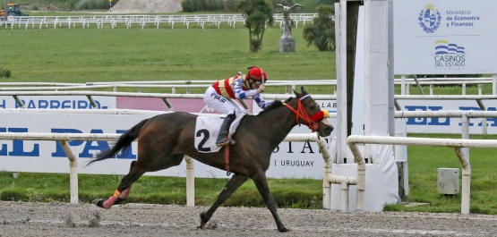 GRAN PREMIO SELECCION