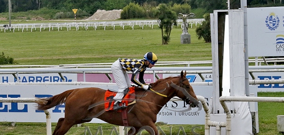 Domingo 12 de octubre de 2025 - Hipódromo Nacional de Maroñas