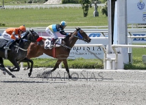 Domingo 26 de octubre de 2025 - Hipódromo Nacional de Maroñas