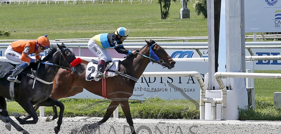 Domingo 26 de octubre de 2025 - Hipódromo Nacional de Maroñas