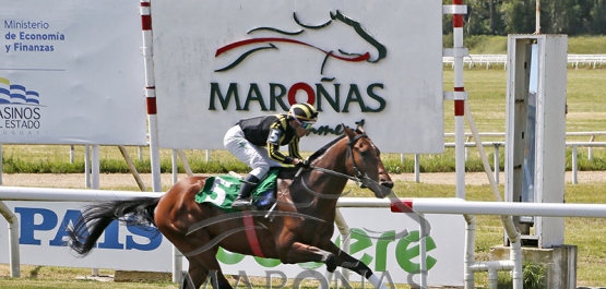 Sábado 1° de noviembre - Hipódromo Nacional de Maroñas