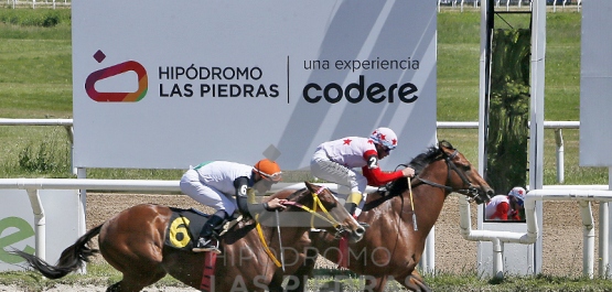 Sábado 8 de noviembre de 2025 - Hipódromo Las Piedras