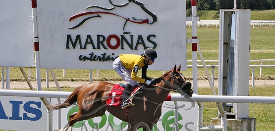 Domingo 9 de noviembre de 2025 - Hipódromo Nacional de Maroñas