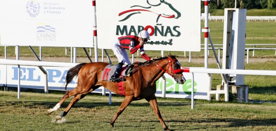 CLÁSICO NICOLAS STORACE ARROSA Y NICOLAS STORACE MONTES